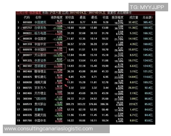 杭州与上海羽毛球队赛后复盘分析战术对决与关键时刻解析