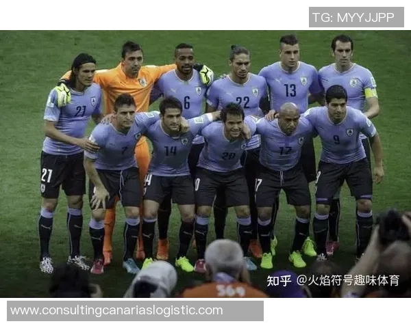 斯洛文尼亚足球传奇人物的辉煌历史与影响力探讨