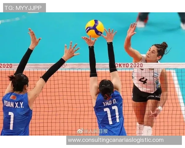 杭州排球队的奋斗历程：一段不屈不挠的排球精神之旅