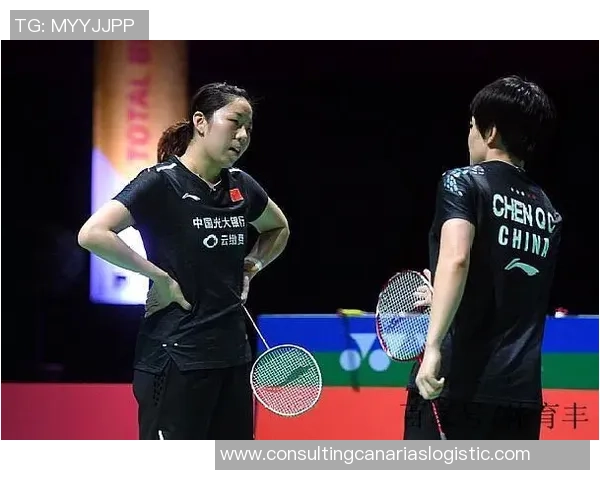 杭州羽毛球队技术表现深度分析与数据解读探讨