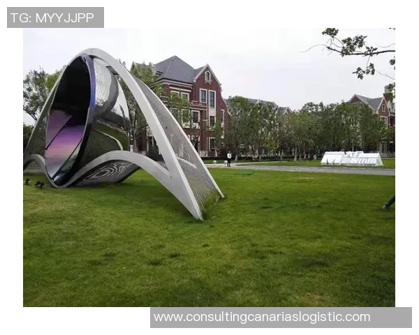 武汉排球队的蜕变之路：从传统强队到现代化竞技新标杆