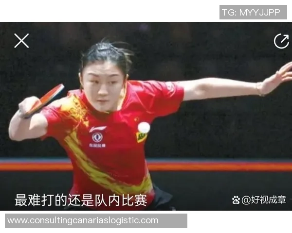 深圳乒乓球队奋勇拼搏的奥运之路与辉煌成就回顾