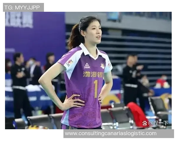 深圳排球队总决赛精彩表现分析与实力评估