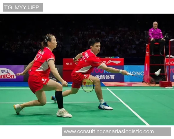 深圳羽毛球队配合表现分析及其对比赛成绩的影响探讨