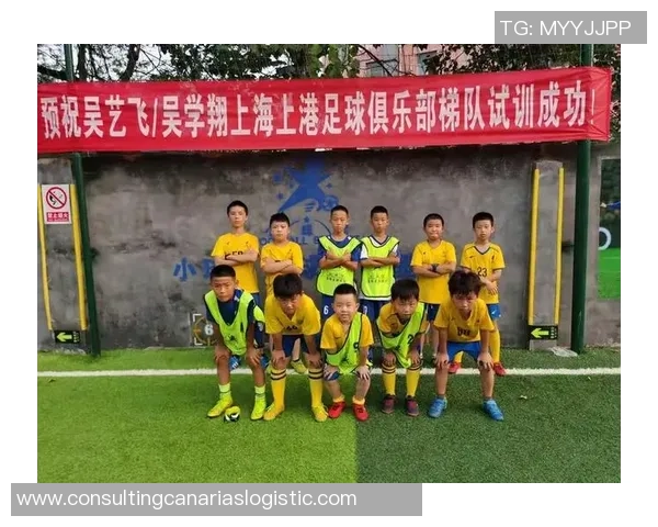 足球场上的挑染梦想与荣耀:一位明星的成长故事 足球场上的挑染梦想与荣耀:一位明星的成长故事