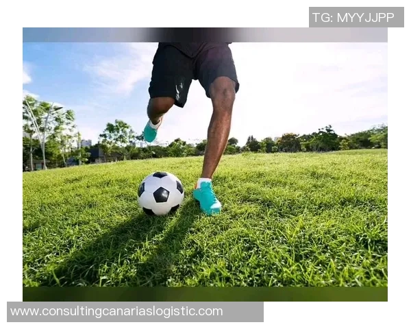 足球明星炫酷动画瞬间展现球场魅力与激情的视觉盛宴