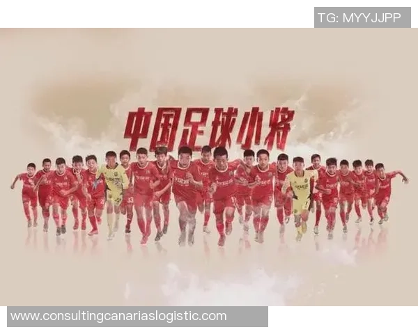 足球明星眼中的中国足球发展现状与未来展望