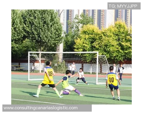 身高176的足球明星如何在绿茵场上展现出色的技艺与风采