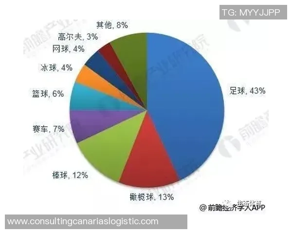 数据分析：西安网球队的个人能力表现