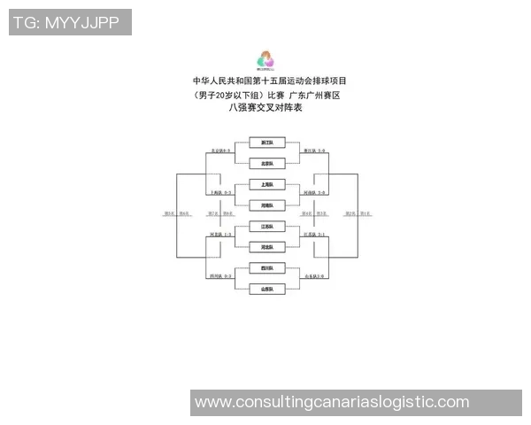 排球新手攻略:比赛经验入门指南 排球新手攻略:比赛经验入门指南