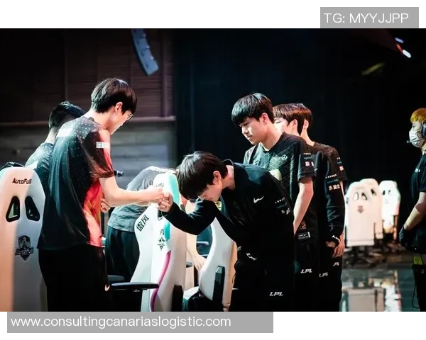 王者荣耀热议：RNG的团队协作争议