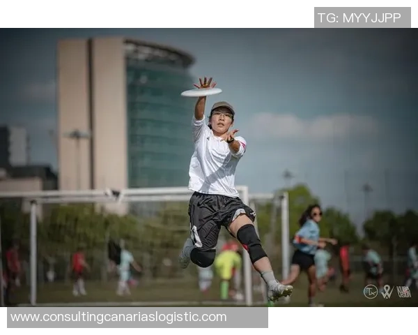 飞盘专题：聚焦深圳飞盘队的实力