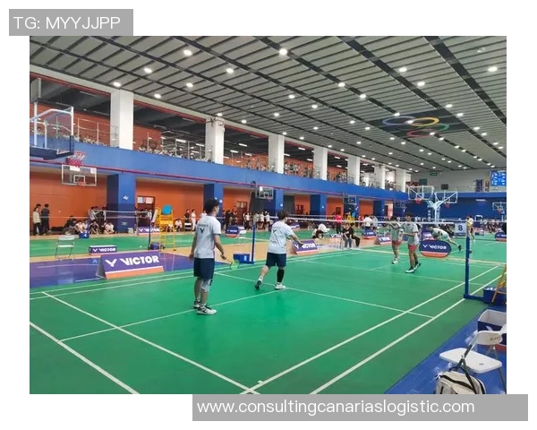 赛后复盘：西安羽毛球队 vs 深圳羽毛球队的比赛经验