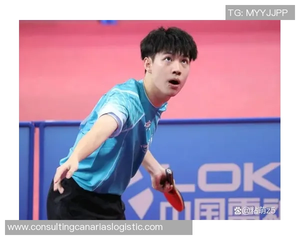 乒乓球焦点：北京乒乓球队的技术探讨_1