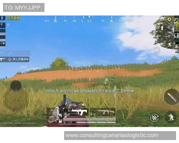 和平精英专题：聚焦BLG的速度