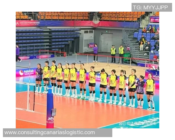 排球热议：杭州排球队的实力争议