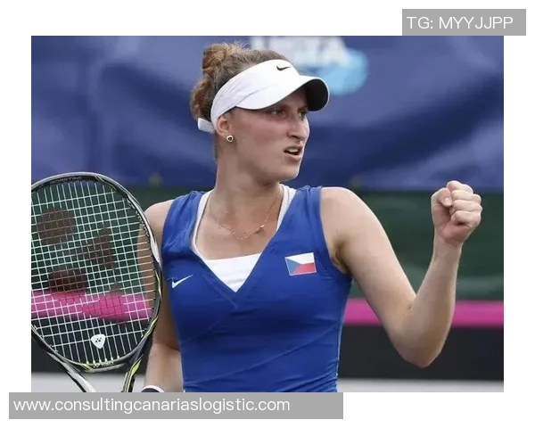 杨芳专访：回顾网球历程