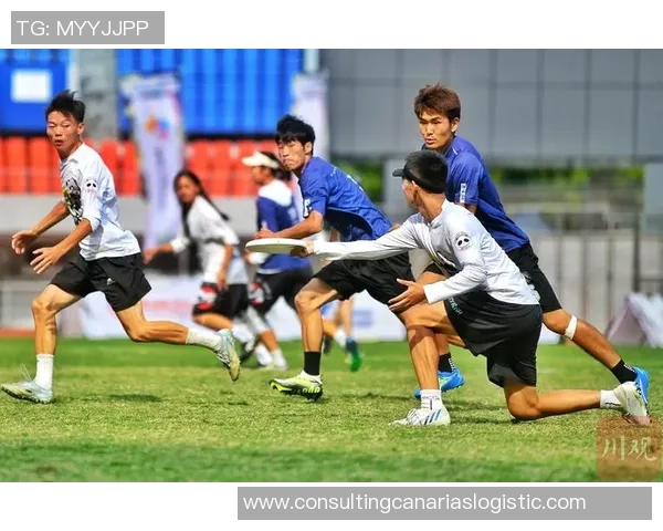 独家分析：成都飞盘队的战术对比