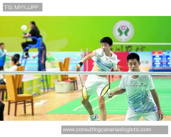 羽毛球巨献：探秘成都羽毛球队的个人能力