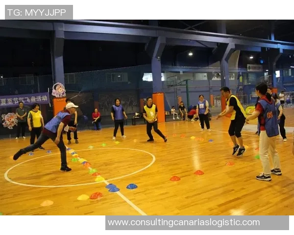 飞盘战术：成都飞盘队的阵地战体系