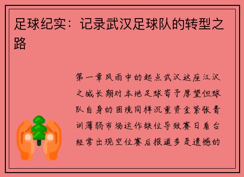 足球纪实：记录武汉足球队的转型之路