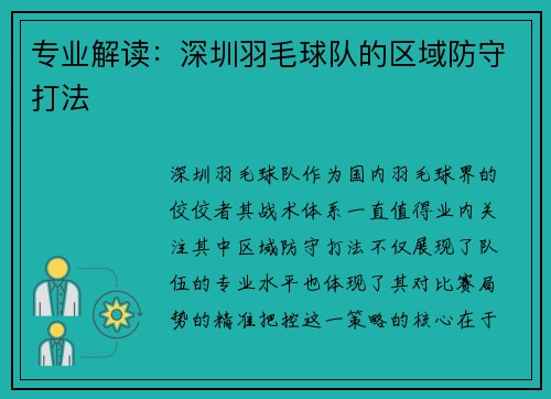 专业解读：深圳羽毛球队的区域防守打法